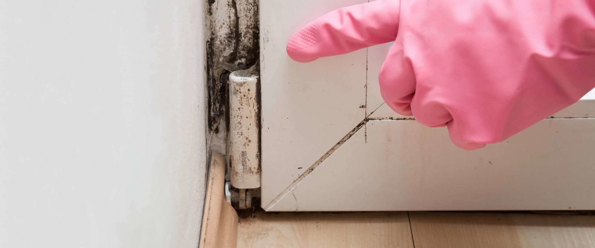 Is there always mold with water damage?