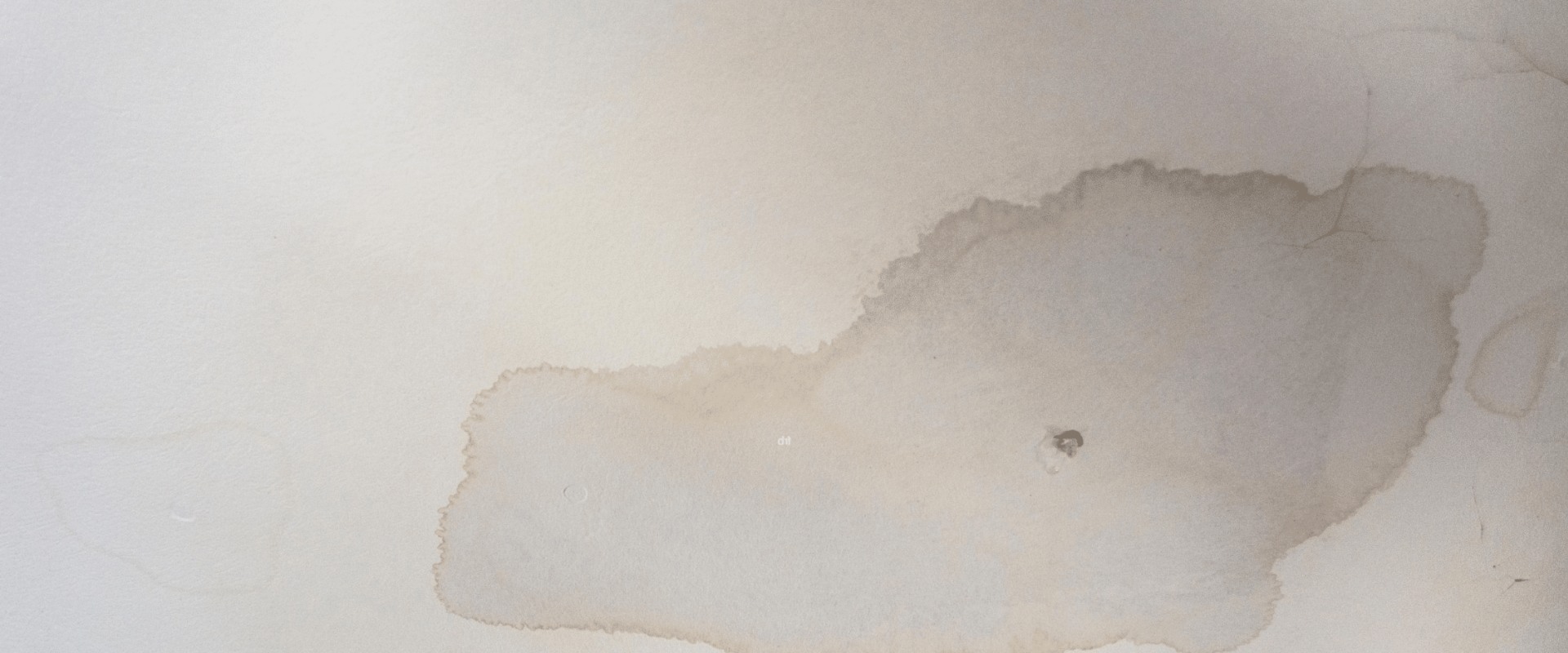 How do you know if you have recent water damage?