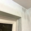 How do you get moisture out of a damp wall?