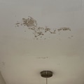 Is it mold or just a stain?