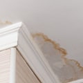 How long does it take to dry out walls from water damage?