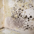 How do you dry out a damp interior wall?