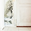 Do all wet walls get mold?