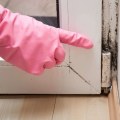 Is there always mold with water damage?