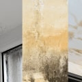 How long to leave a damp wall before painting?