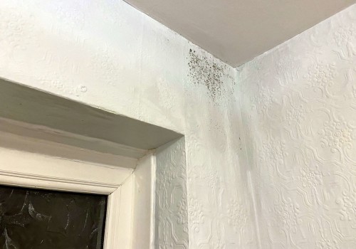 How do you get moisture out of a damp wall?