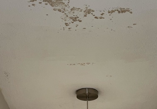 Is it mold or just a stain?