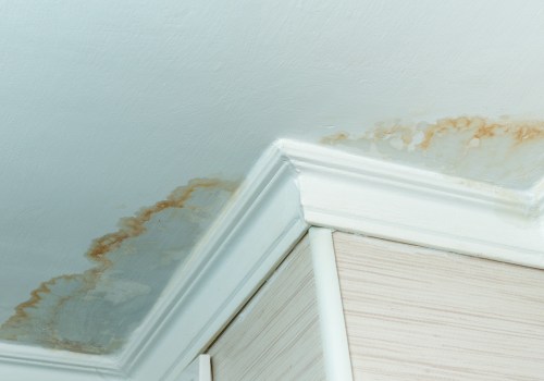 Can you just paint over water damage?