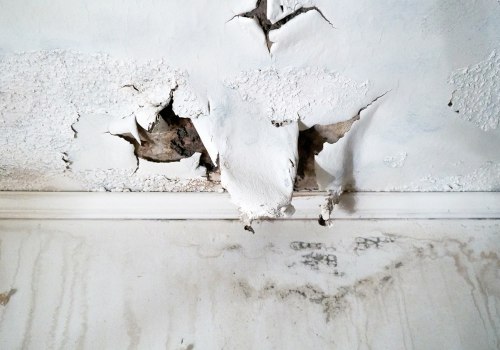 Can water in walls make you sick?