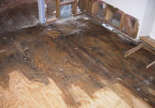 What does water damage in a house look like?