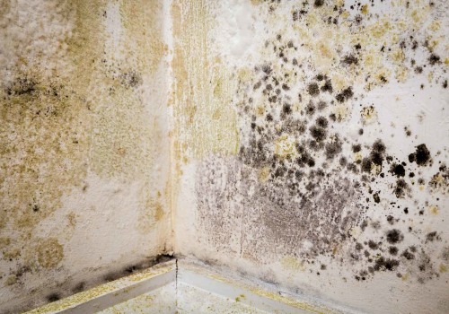 How do you dry out a damp interior wall?