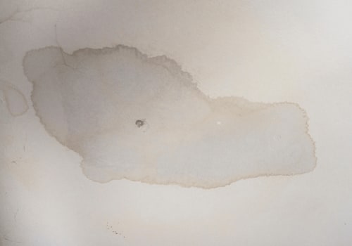 How do you know if you have recent water damage?