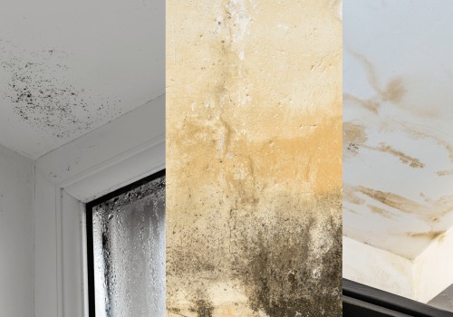 How long to leave a damp wall before painting?