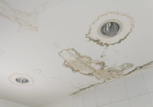 What can water damage do to your health?